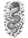 Japanese dragon back piece