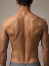 Full back piece